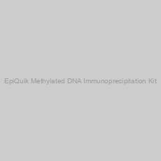 Image of EpiQuik Methylated DNA Immunoprecipitation Kit